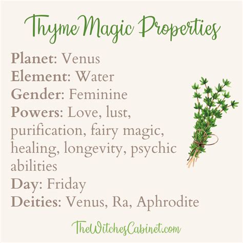 Unveiling the Magic of Thyme: Exploring its Properties and Powers